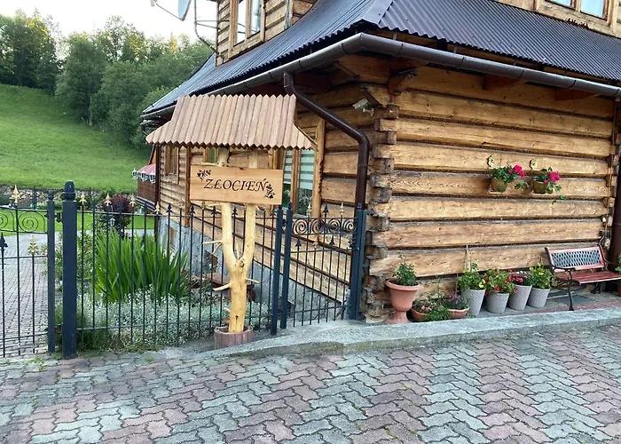 Złocień